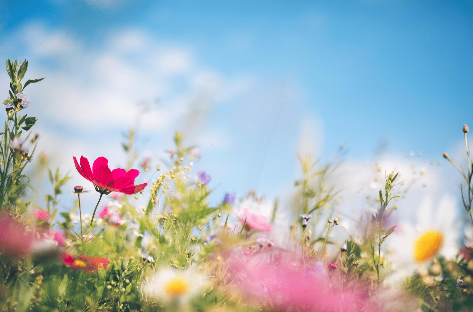 Dove andare in vacanza in primavera? Le migliori destinazioni