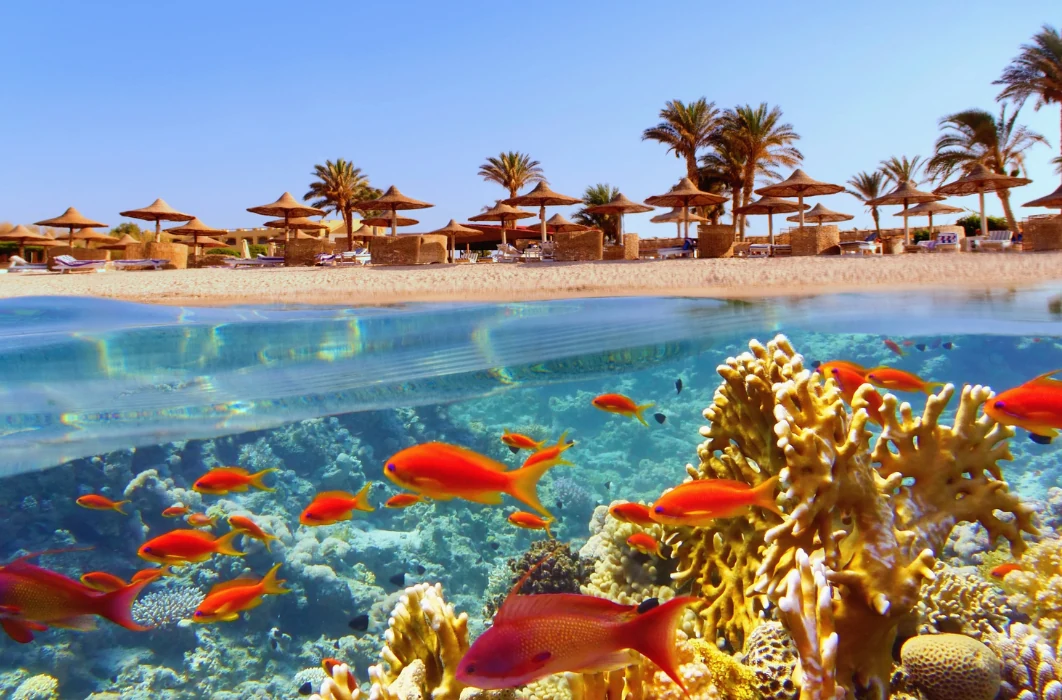 Viaggio a Marsa Alam: cosa sapere per organizzarlo bene