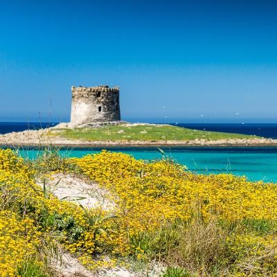 Residenze Capo Falcone