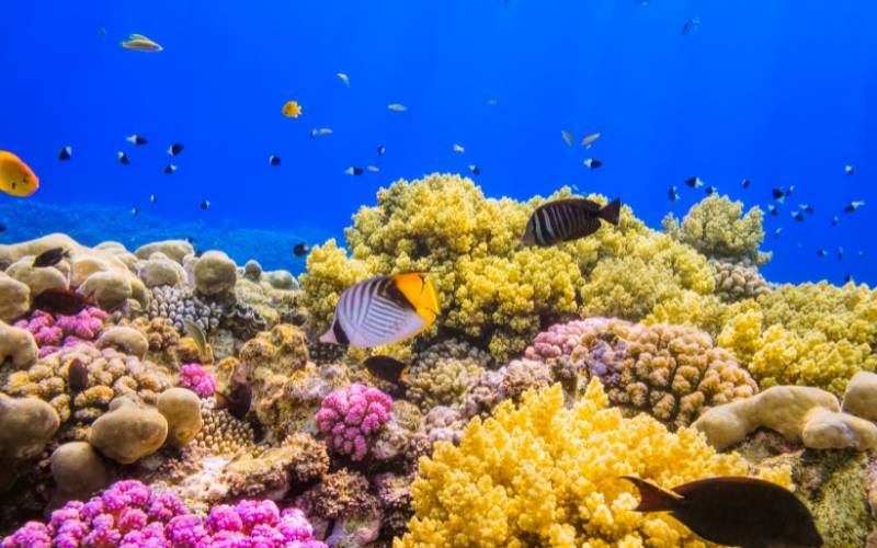 Marsa Alam