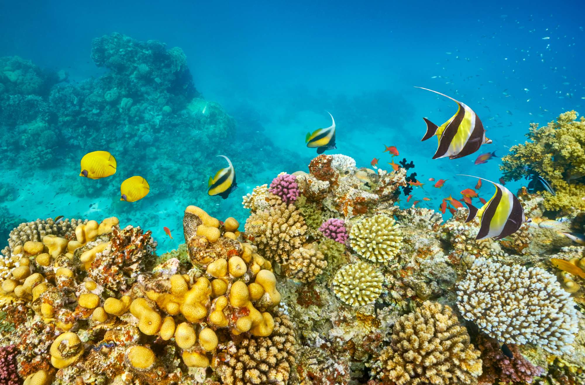 Marsa Alam