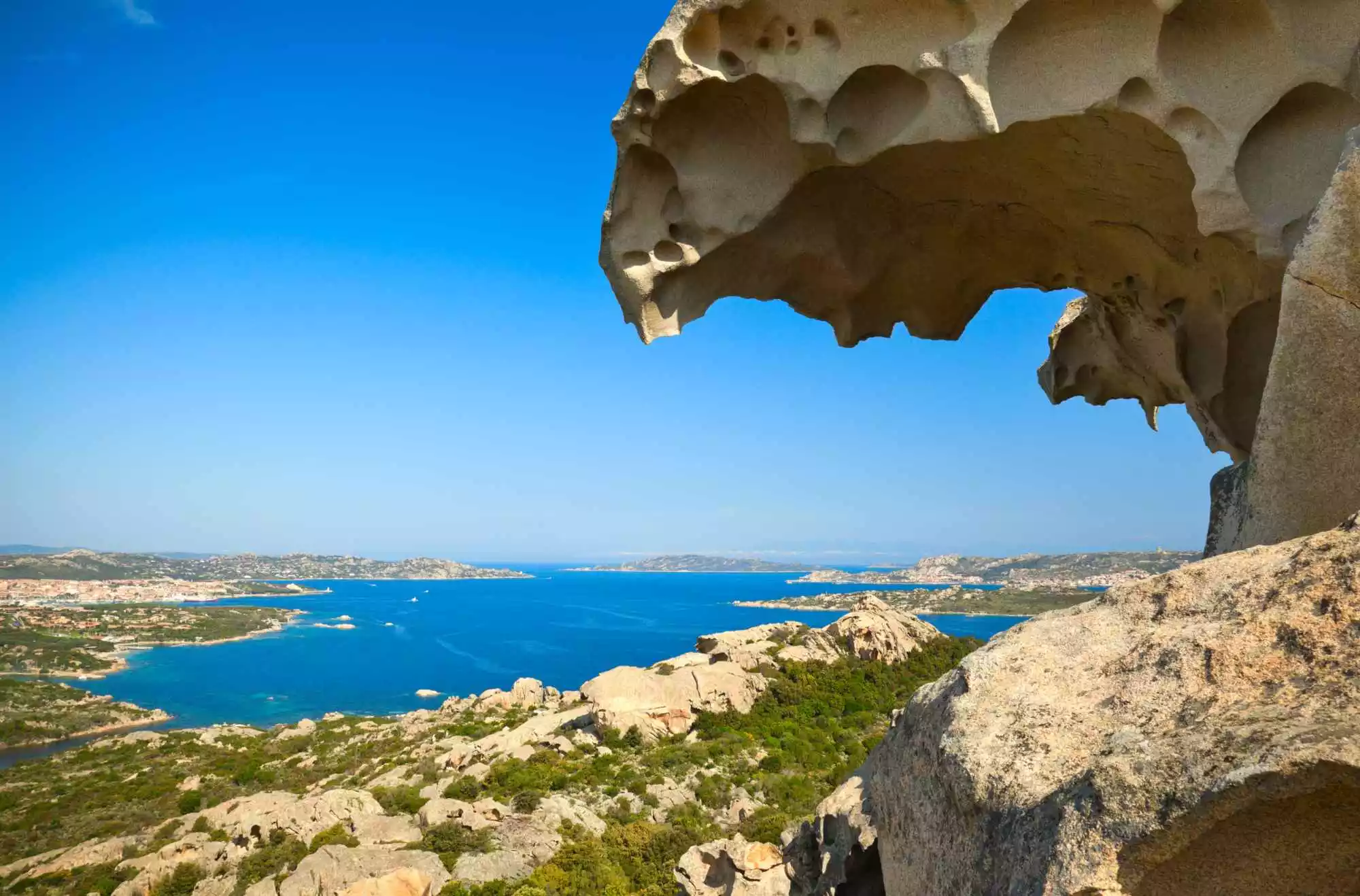 capo d'orso