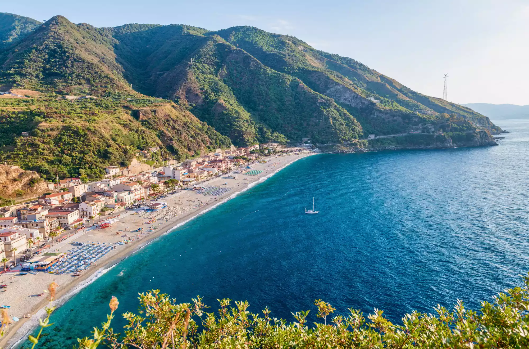 Scilla