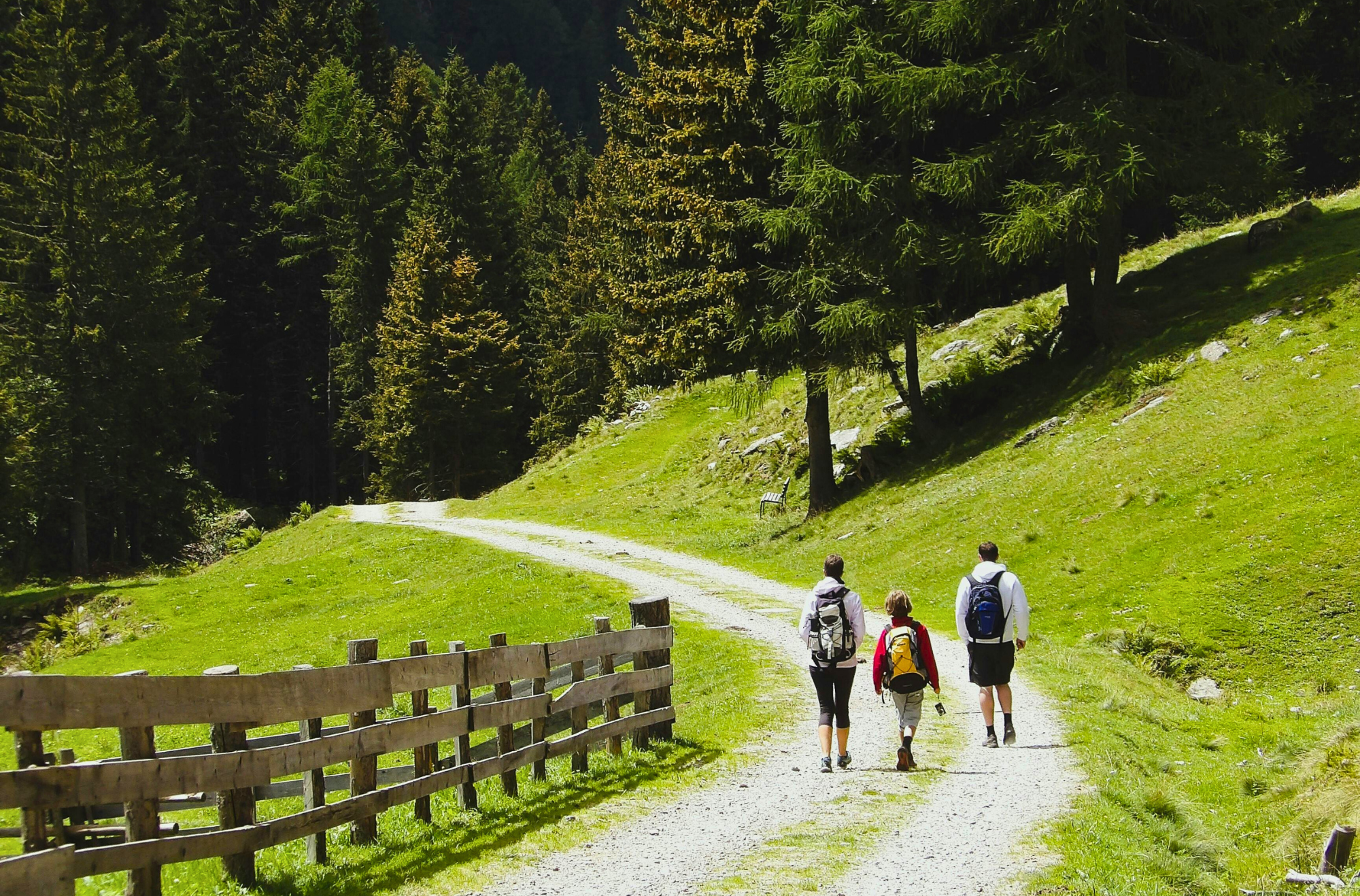Famiglia in escursione su sentiero alpino, vacanza in Trentino Val Pusteria, circondata da prati verdi e boschi soleggiati.