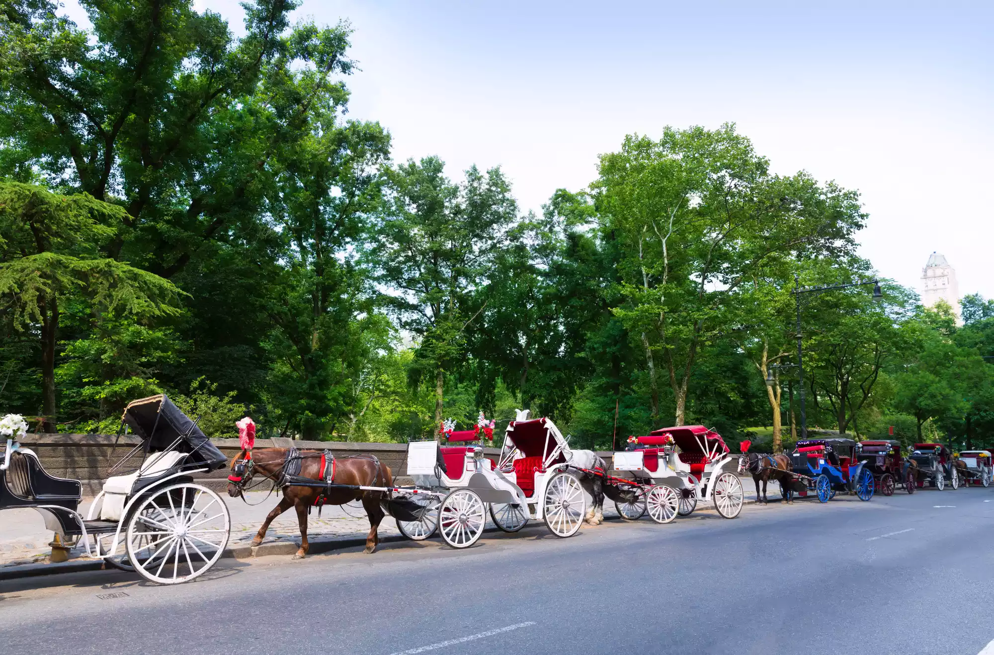 giro in carroza a Central Park