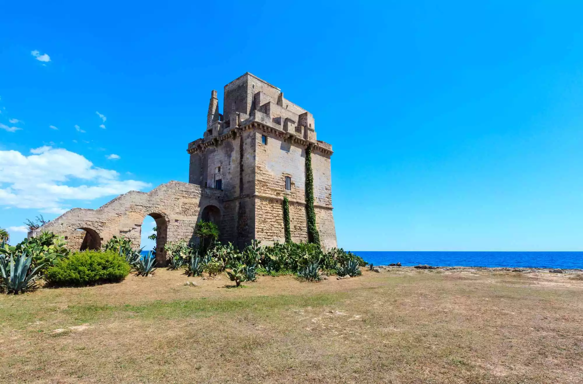 Salina di Torre Colimena con torre costiera e fenicotteri