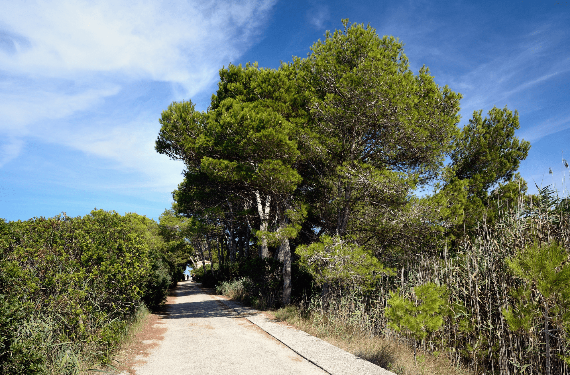 Parco Naturale di s'Albufera des Grau