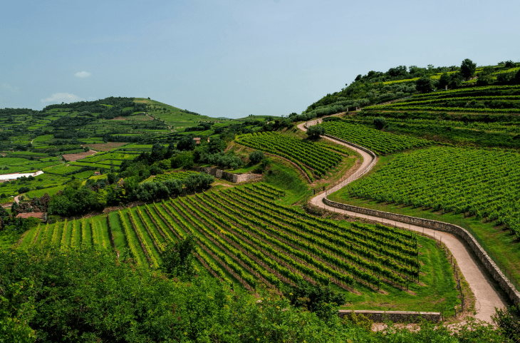 strada del vino soave