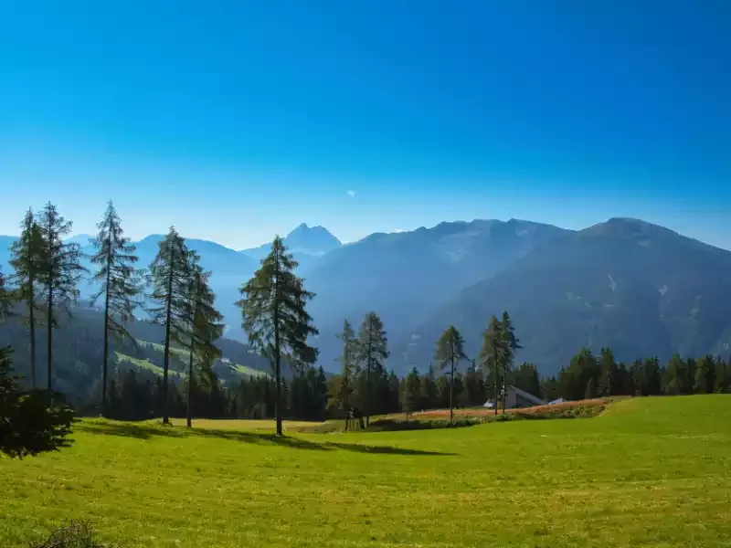 Paesaggio di montagna in estate