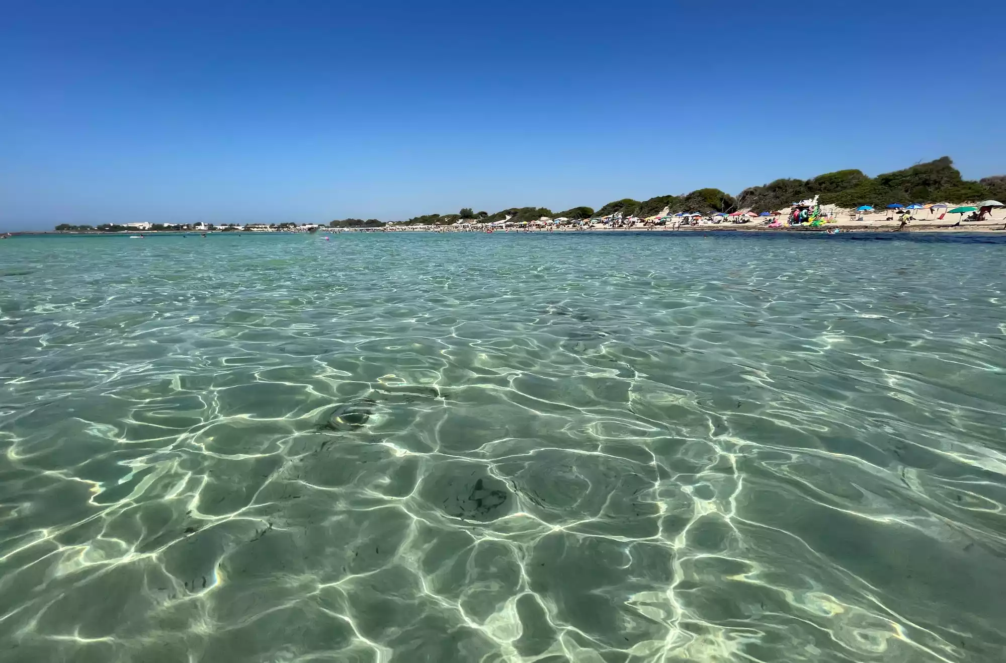 Punta Prosciutto