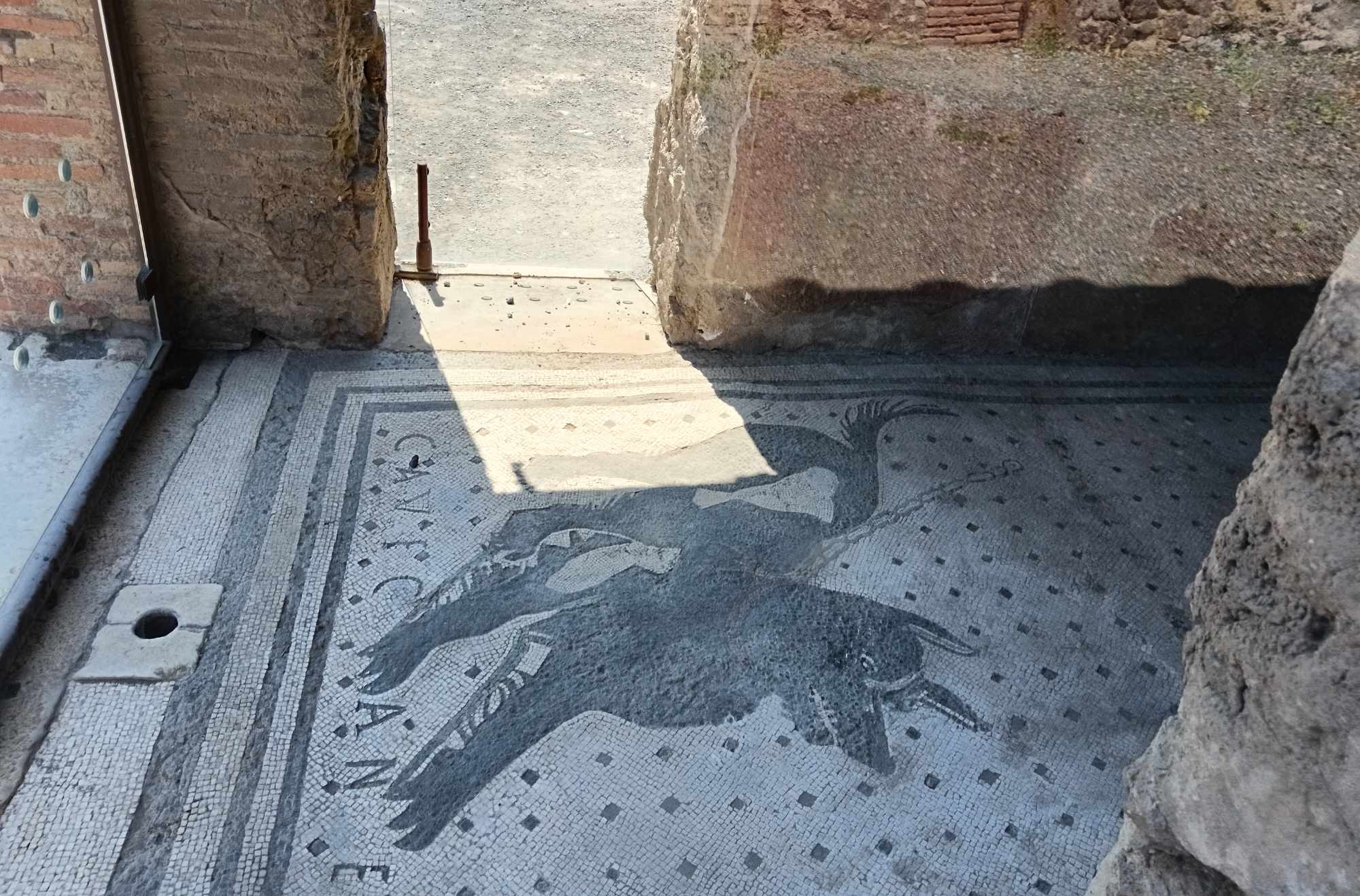Mosaico del Cave Canem