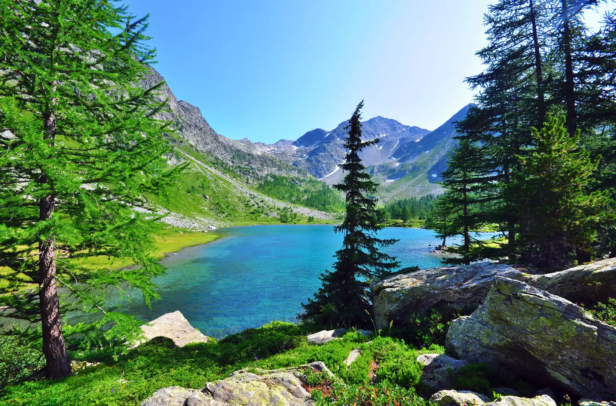 Vista panoramica del Lago d'Arpy, in Valle d'Aosta. Le acque turchesi del lago alpino riflettono il cielo sereno e sono circondate da fitte pinete e dalle imponenti montagne rocciose che ne incorniciano il paesaggio.