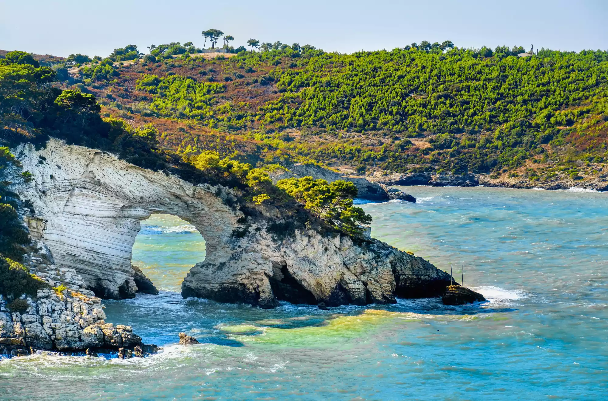 Arco di San Felice vicino a Vieste, nel Gargano: spettacolare arco naturale di roccia bianca che si apre sul mare turchese, circondato da pini mediterranei e scogliere.