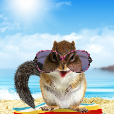 vacanze-agosto-pet-friendly