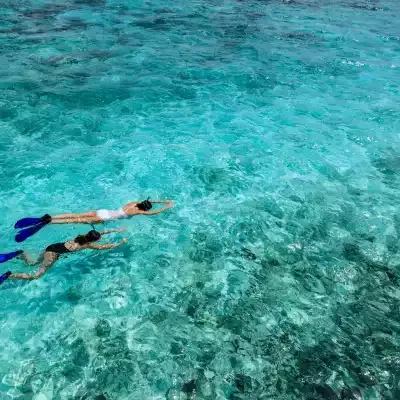 Escursione di snorkeling nel mare tra Parghelia e Capo Vaticano