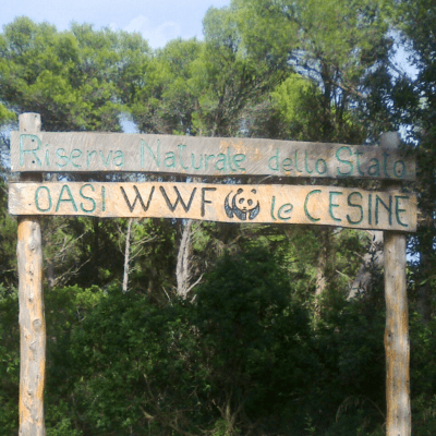 Riserva Naturale Le Cesine