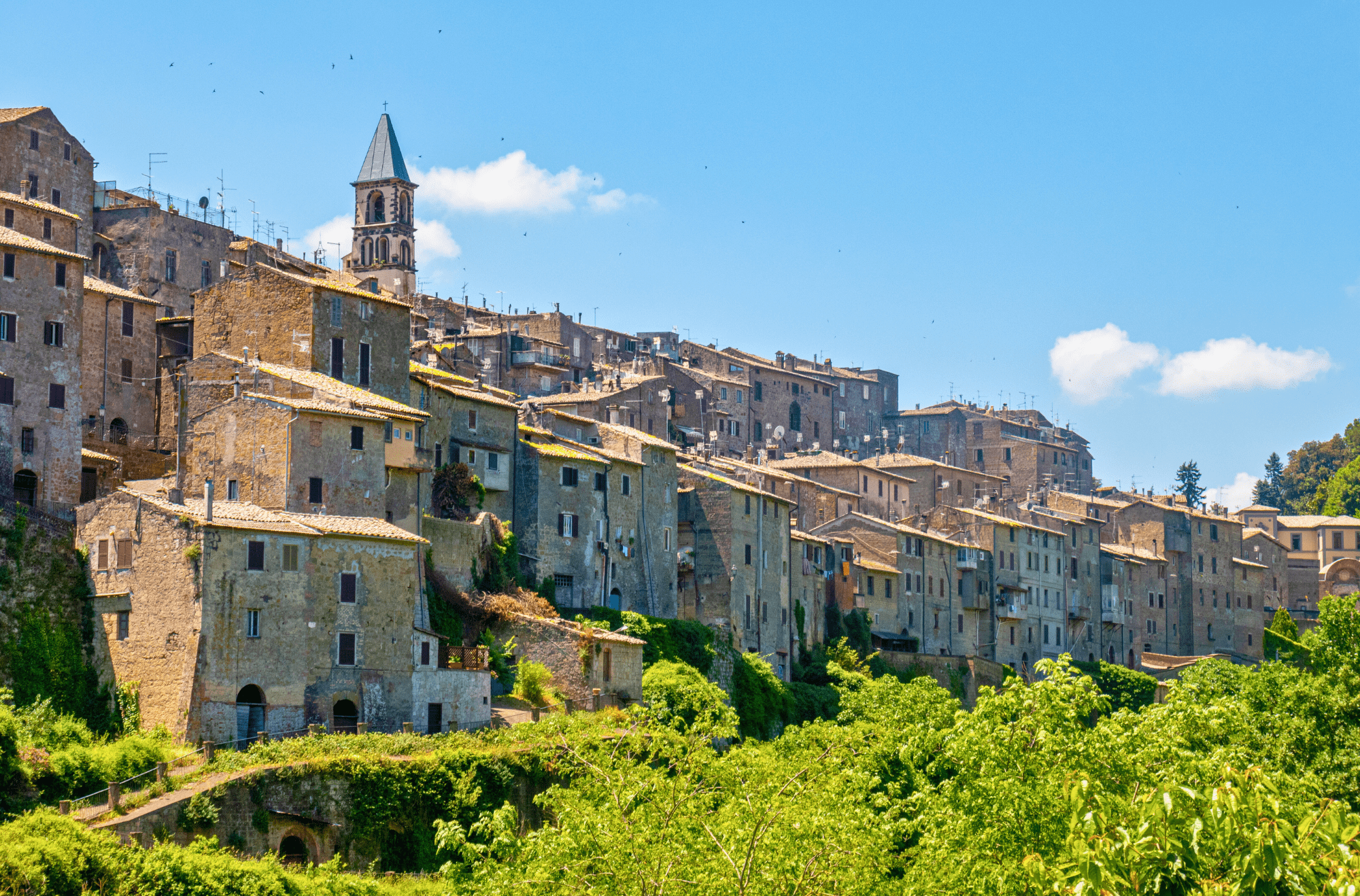 Montalto di Castro