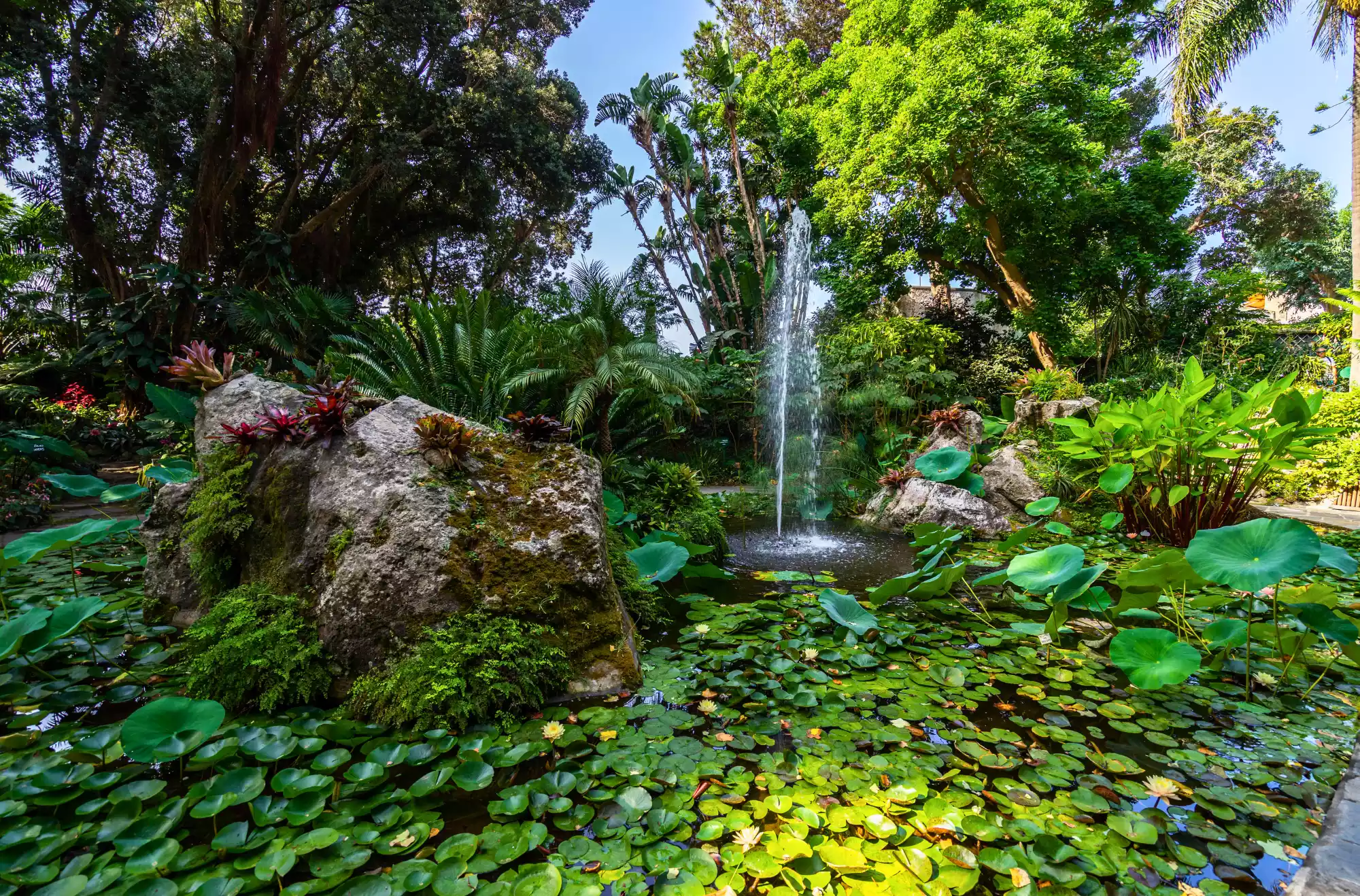 dettaglio giardini della Mortella a Forio d'Ischia