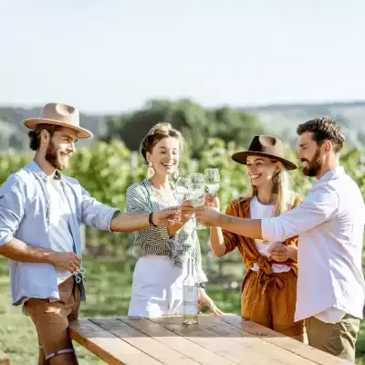 Degustazione di vino al tramonto in una vigna vicino a Parghelia