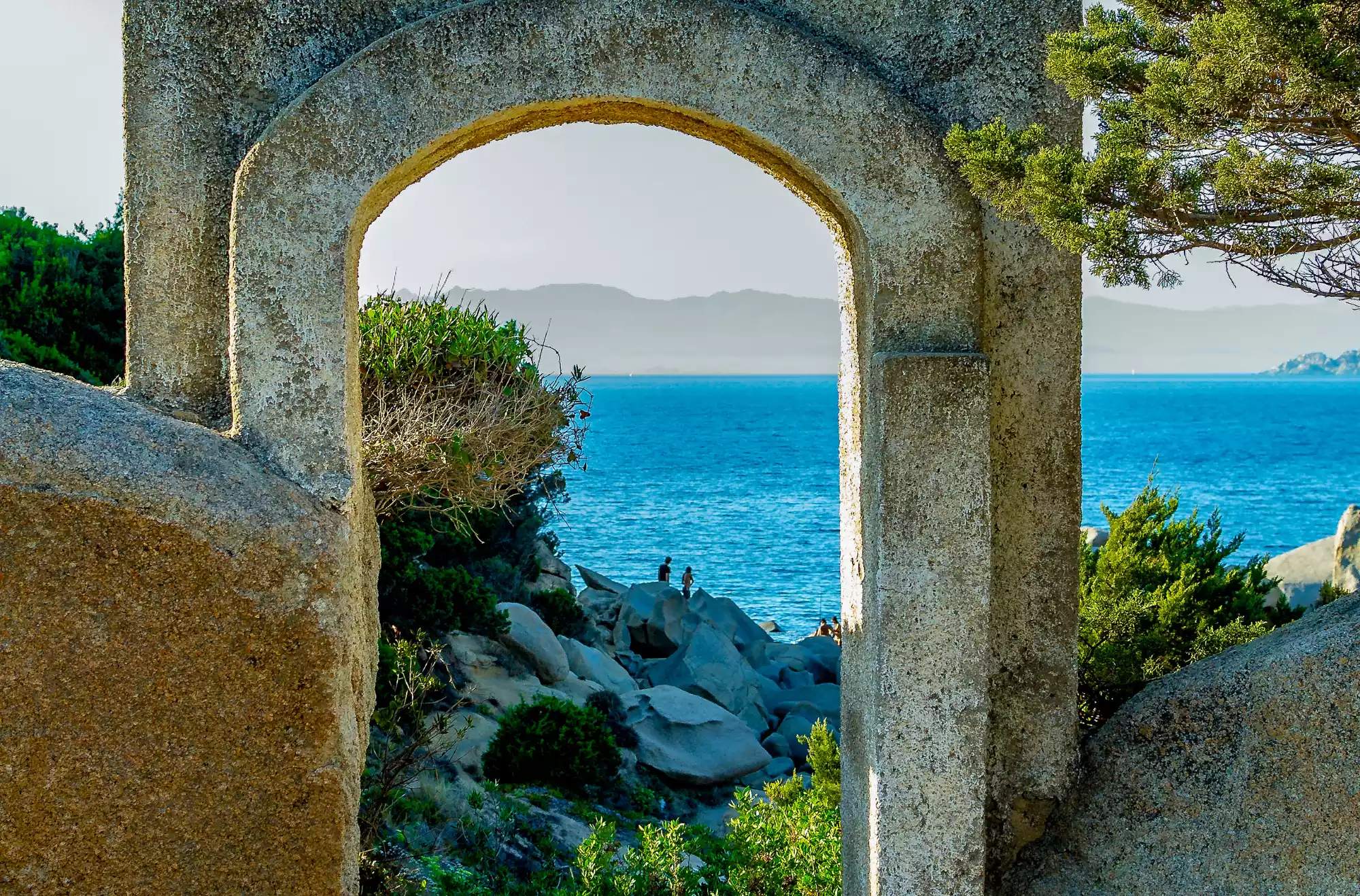 scorcio-palau