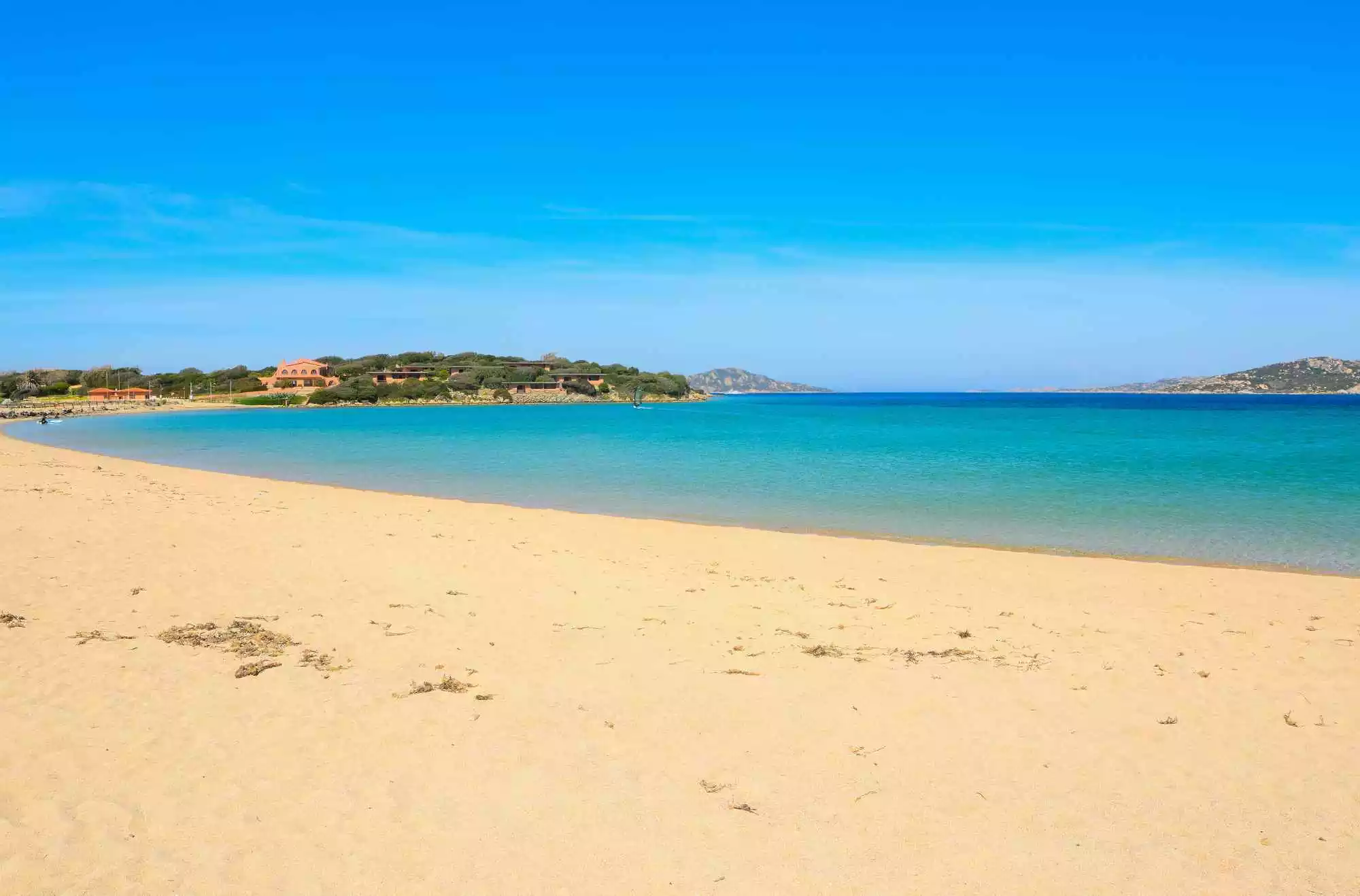 porto pollo