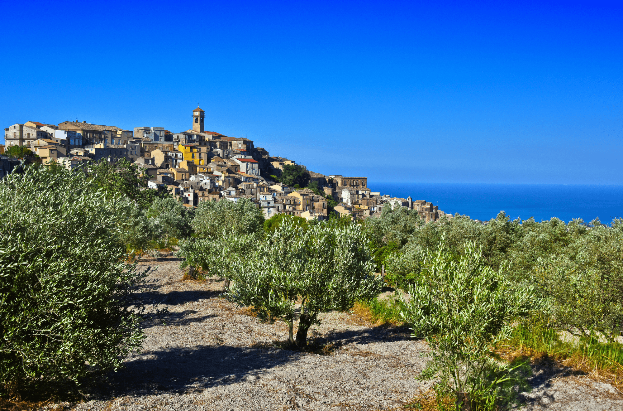 campagna badolato