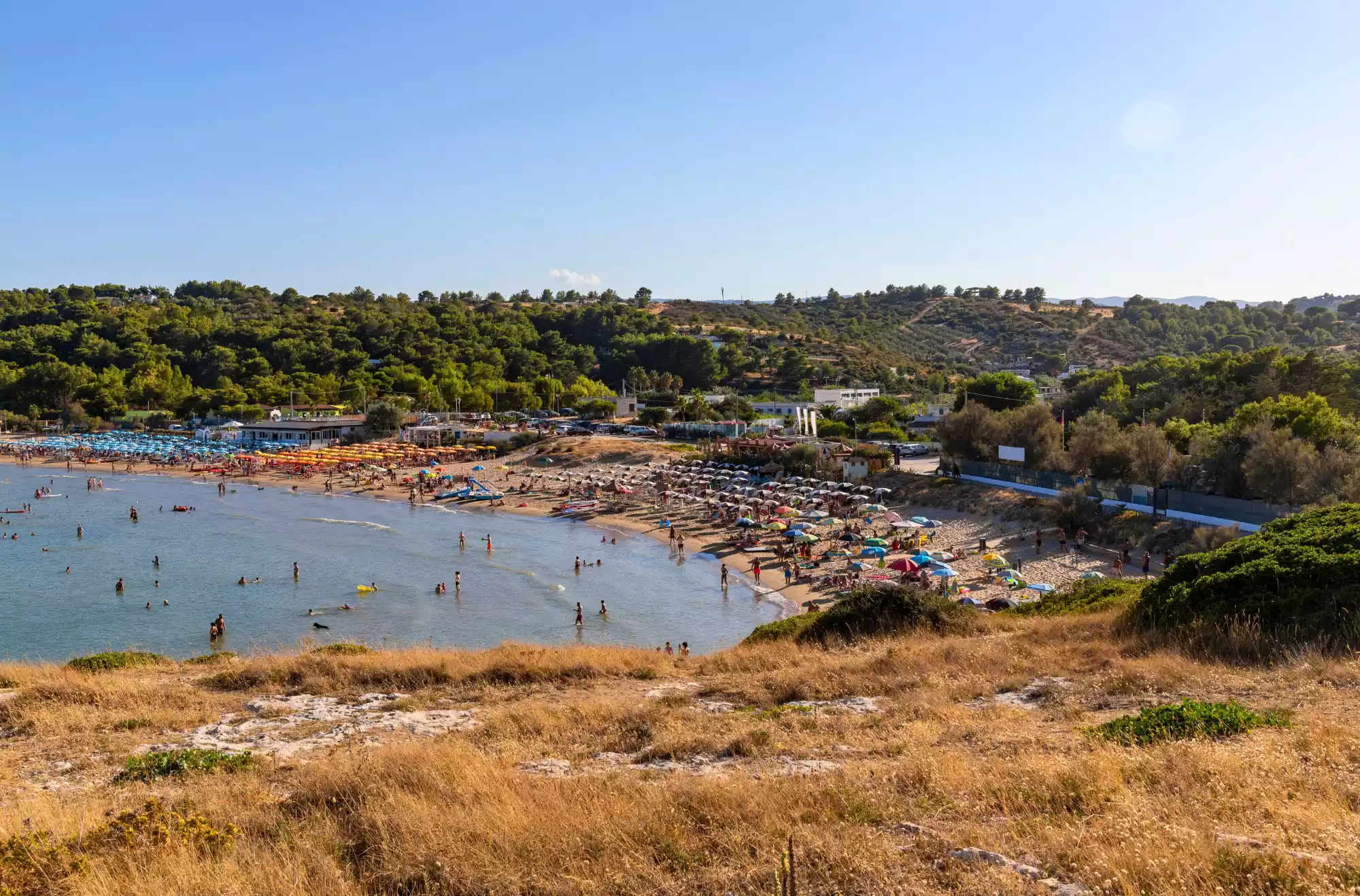 Vista panoramica della spiaggia di Cala Molinella vicino a Vieste, nel Gargano, con bagnanti in acqua, ombrelloni colorati e vegetazione mediterranea sullo sfondo.