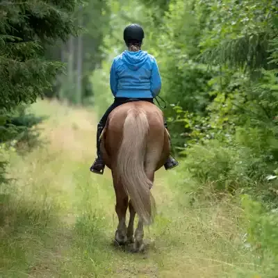 Escursione a cavallo nell’entroterra vicino a Parghelia