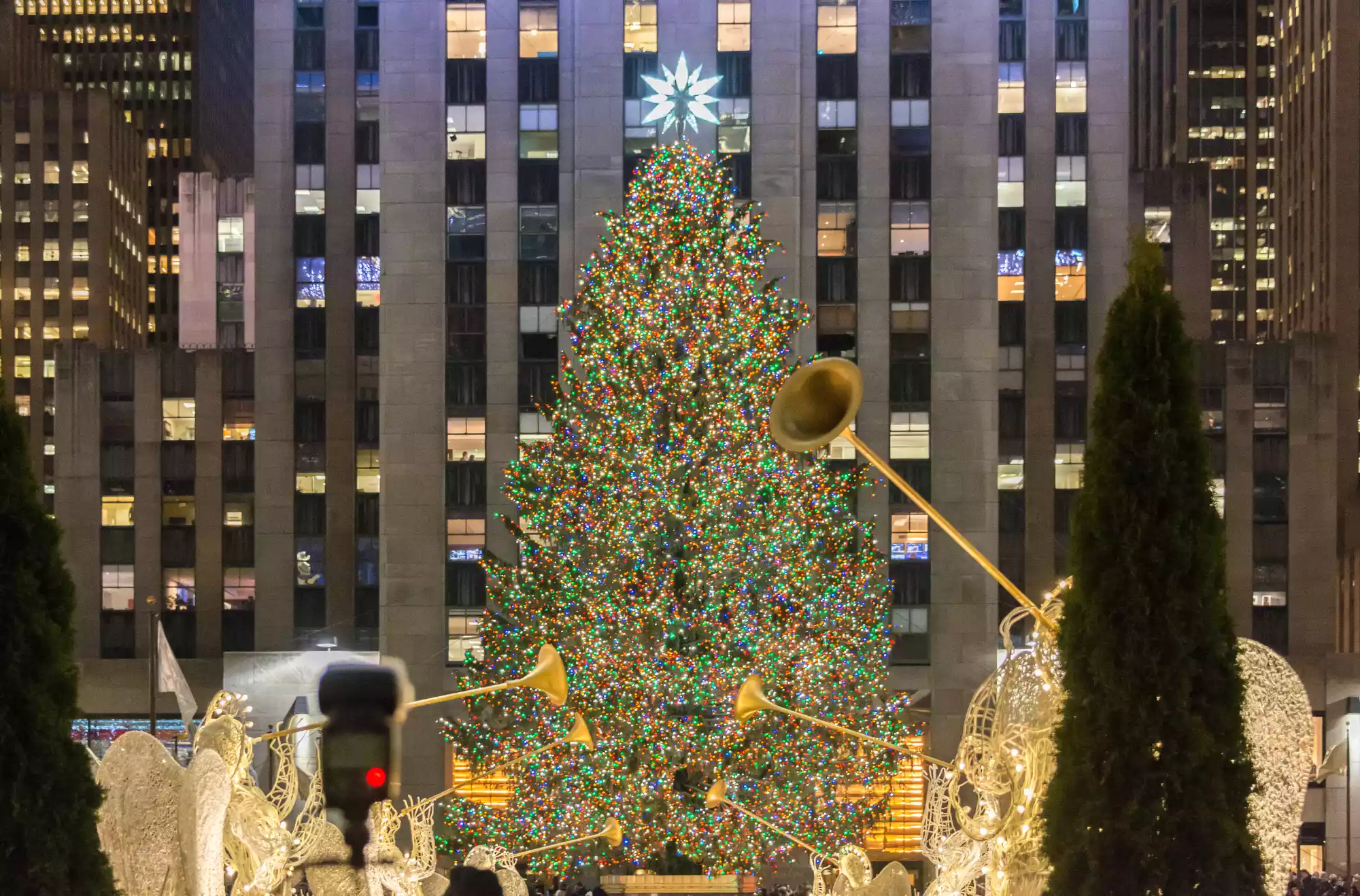 accensione albero new york