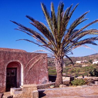 pantelleria