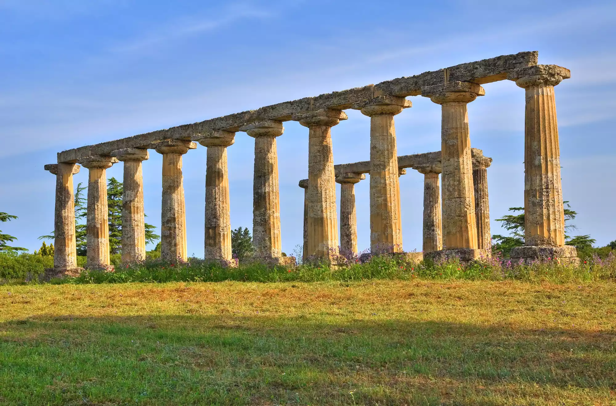 parco archeologico di Metaponto