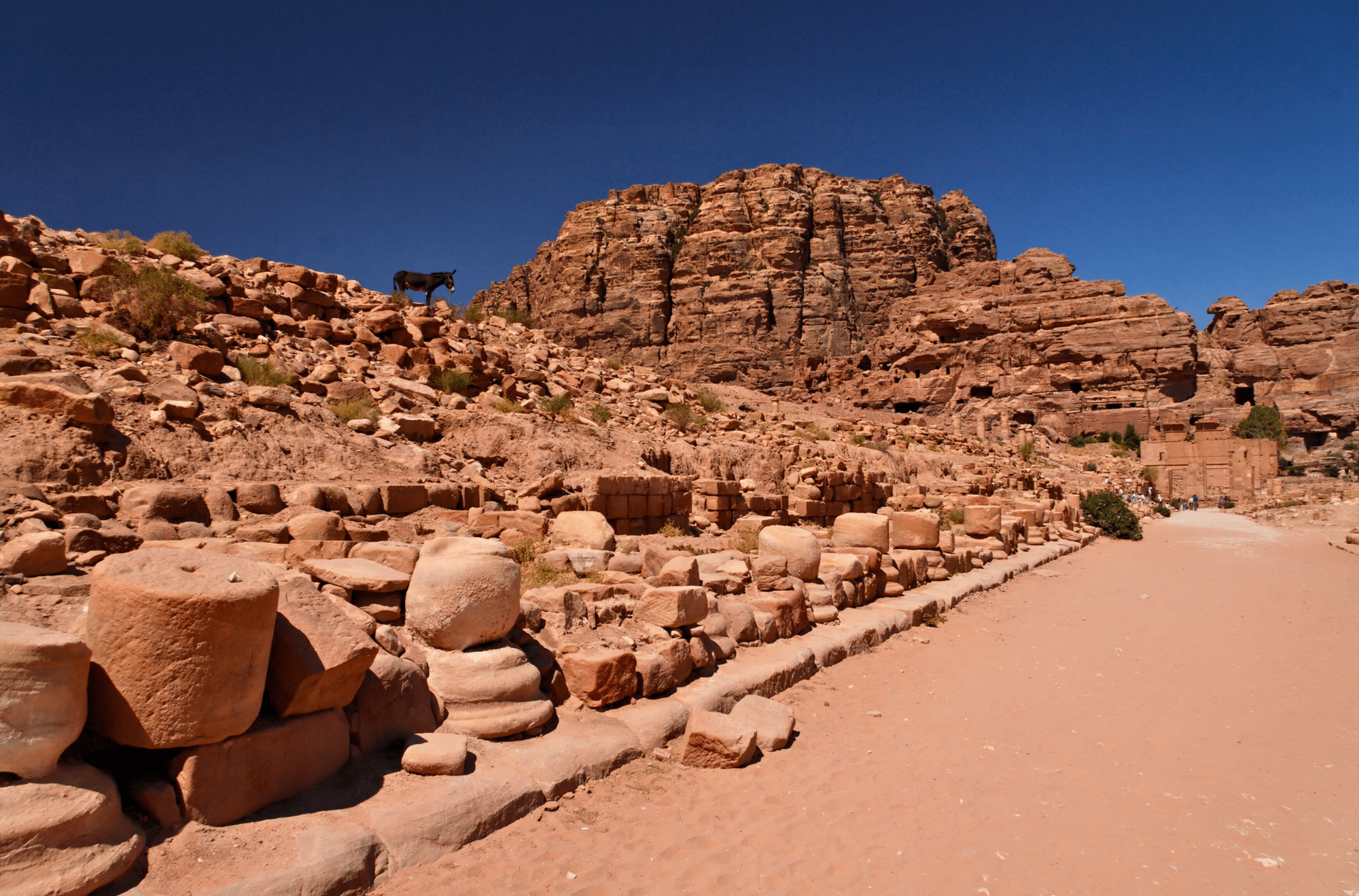 La strada colonnata di Petra