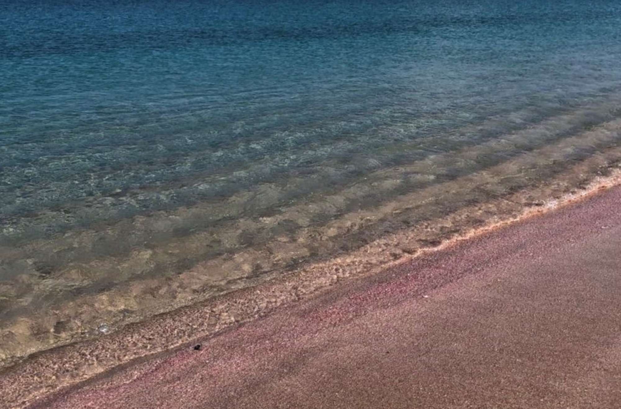 Pink Beach