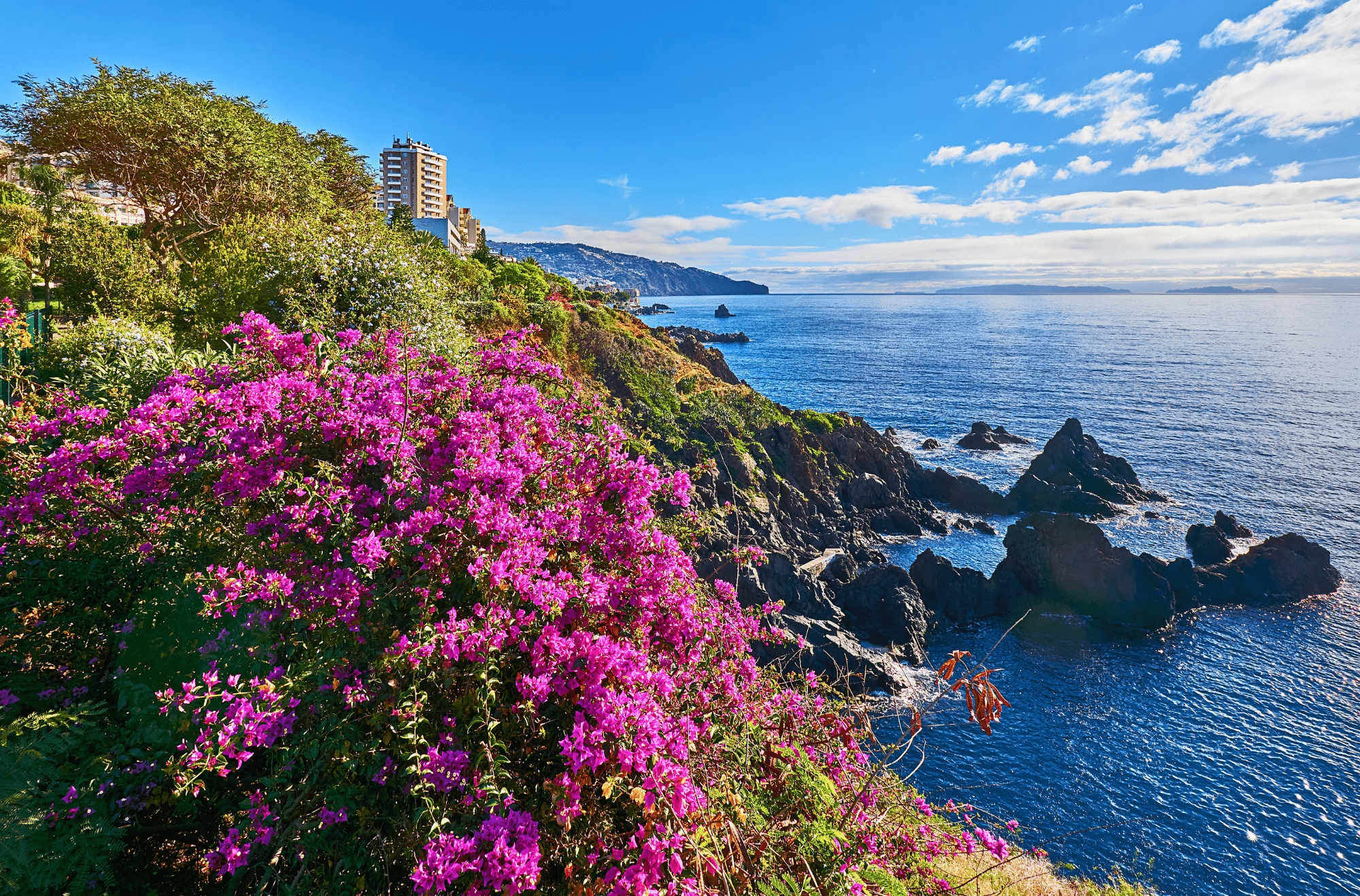 Madeira