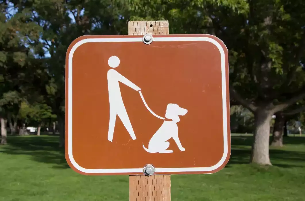 Cane in un’area sgambamento recintata di un villaggio Pet Friendly