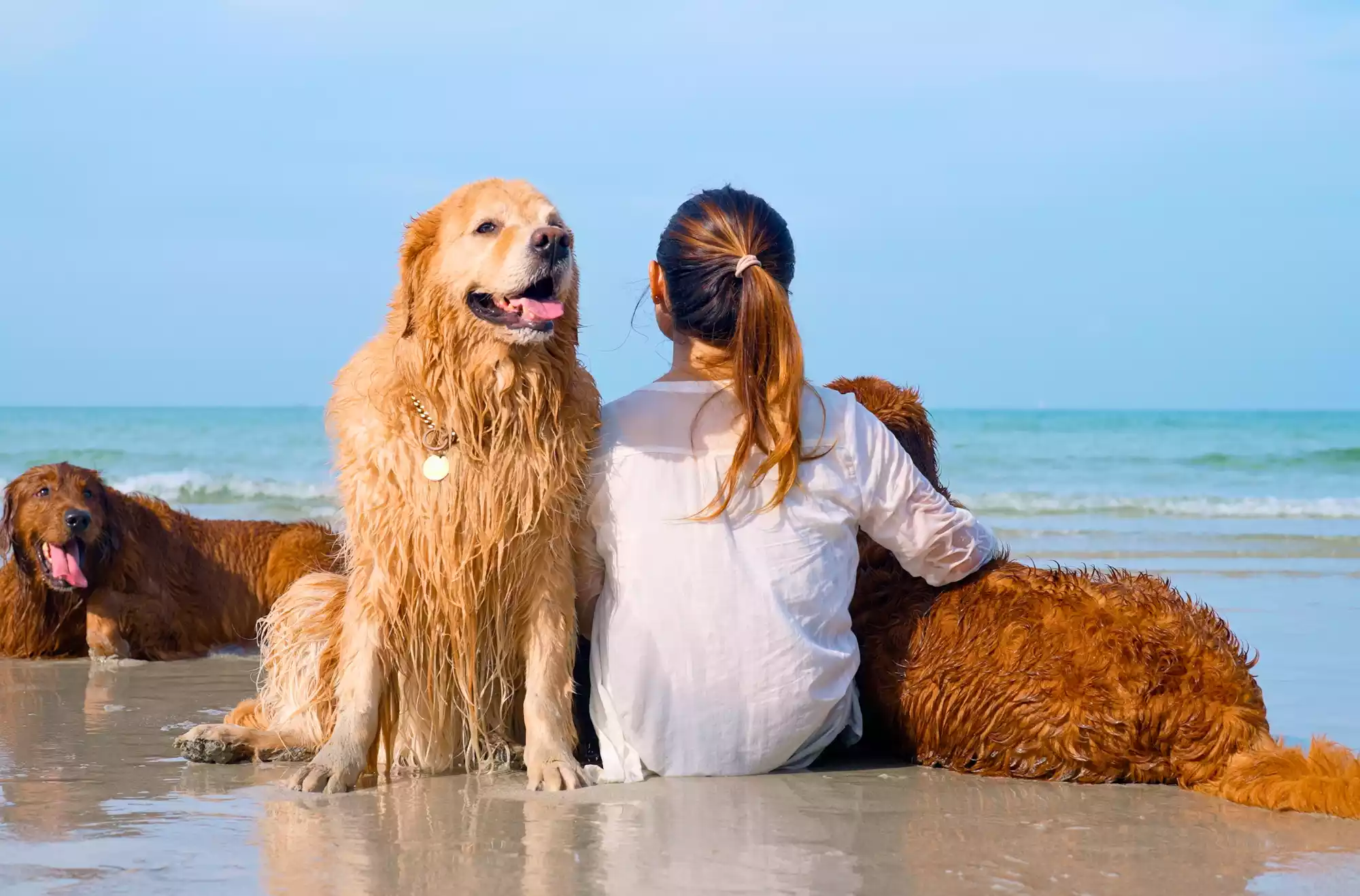 ragazza con cani in spiaggia