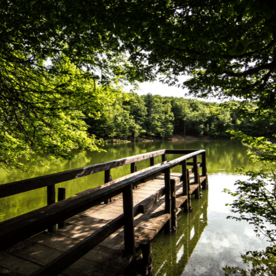 siti-unesco-puglia-foresta-umbra