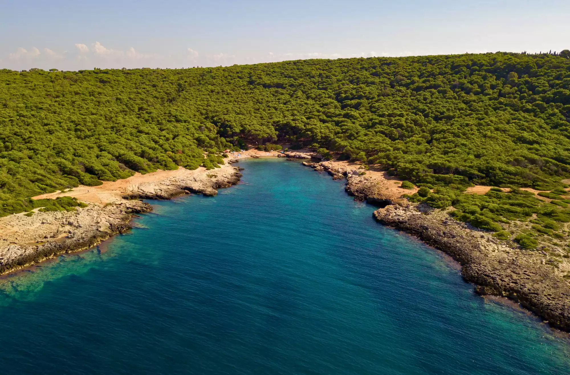Baia di Porto Selvaggio  in Salento - Puglia. Insenatura di sabbia incorniciata fa una folta pineta.