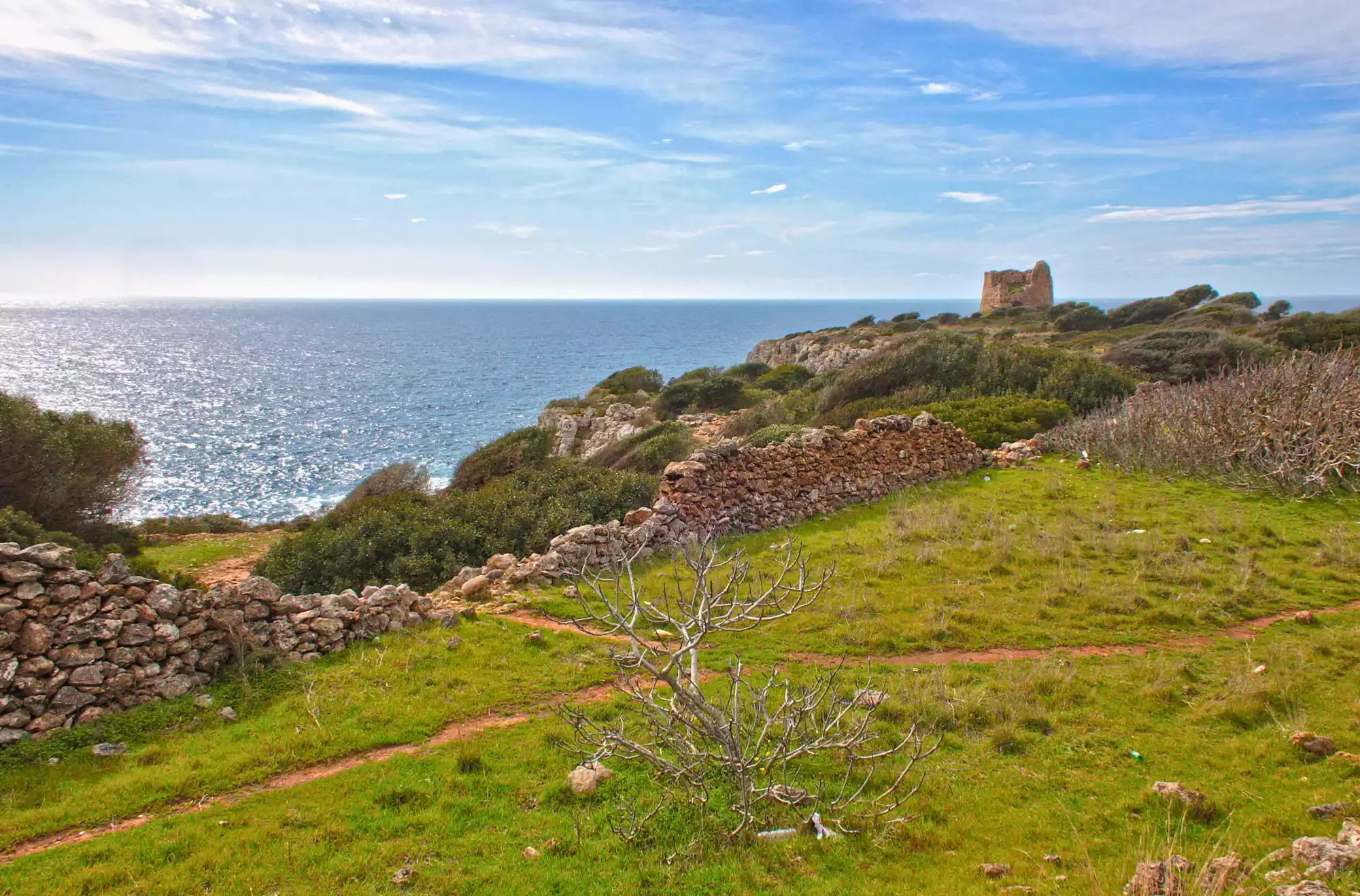Paesaggio costiero di Porto Selvaggio, in Puglia, con muretti a secco, vegetazione mediterranea e vista sul mare blu, sullo sfondo la Torre Uluzzo.
