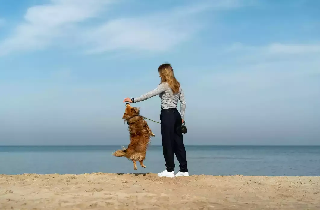 Ragazza che gioca con il cane su una spiaggia libera