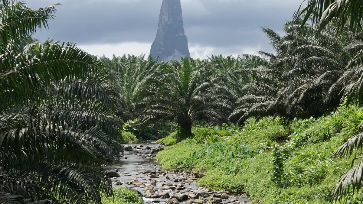 Pico Cão Grande tra la vegetazione tropicale di São Tomé