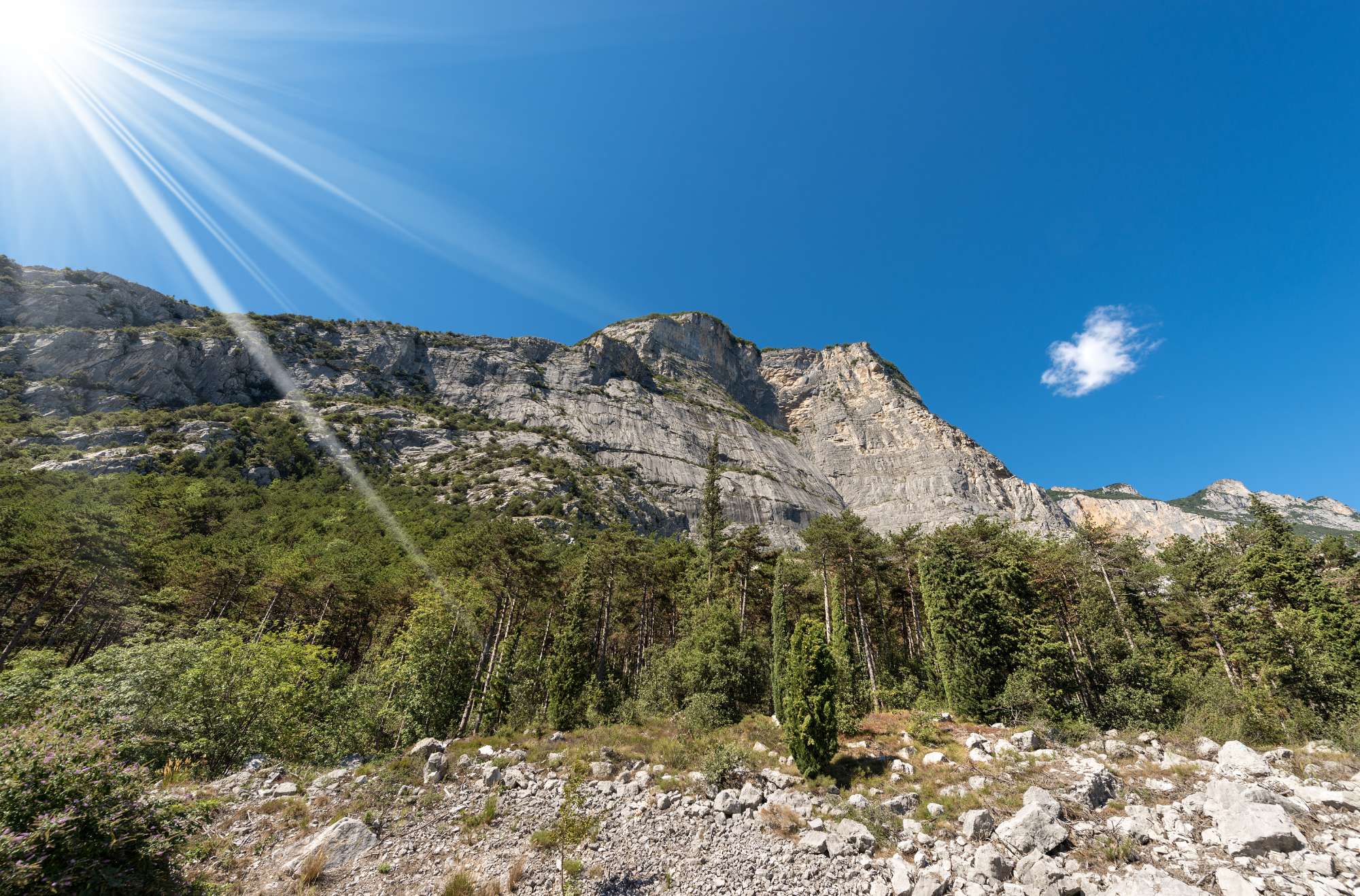 Alto Sarca - Madonna di Campiglio