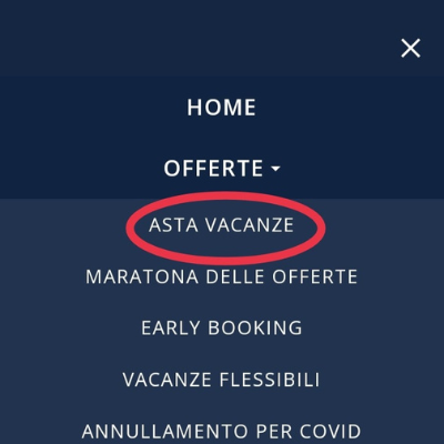 asta-delle-vacanze-3