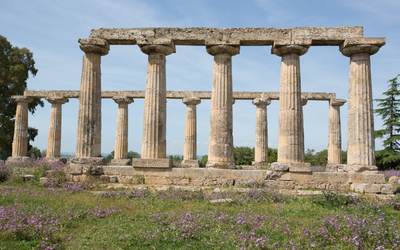 tavole-palatine-metaponto