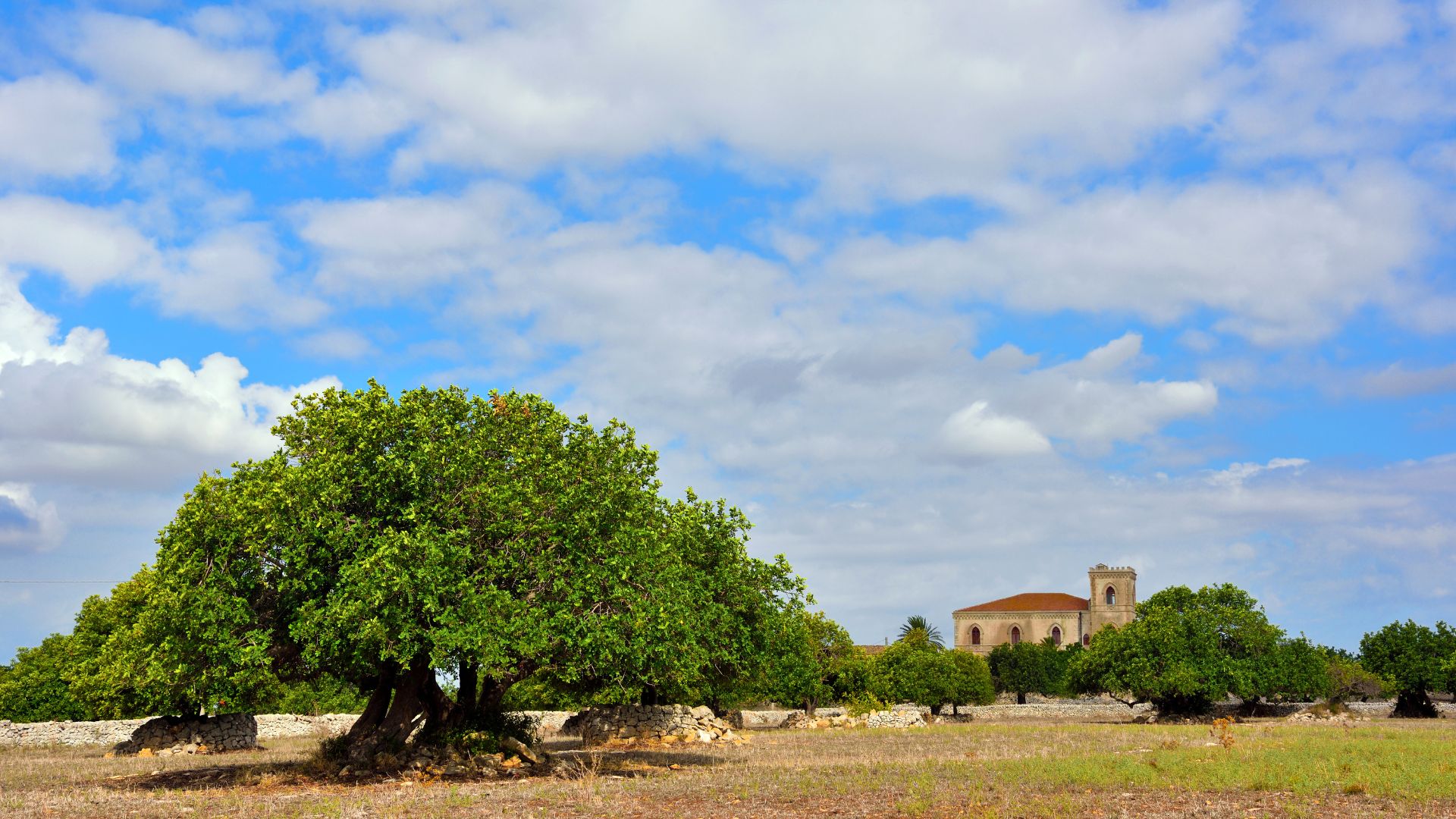 Tour Barocco Siciliano con Volo