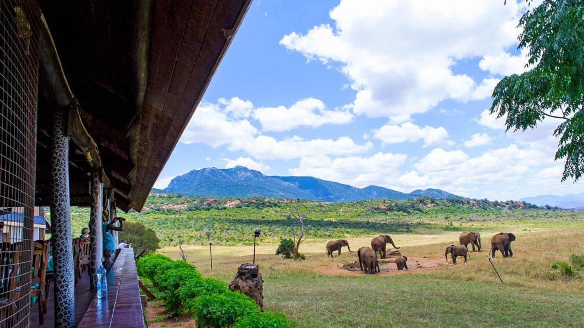 Safari Tsavo Est / Ovest + Mare