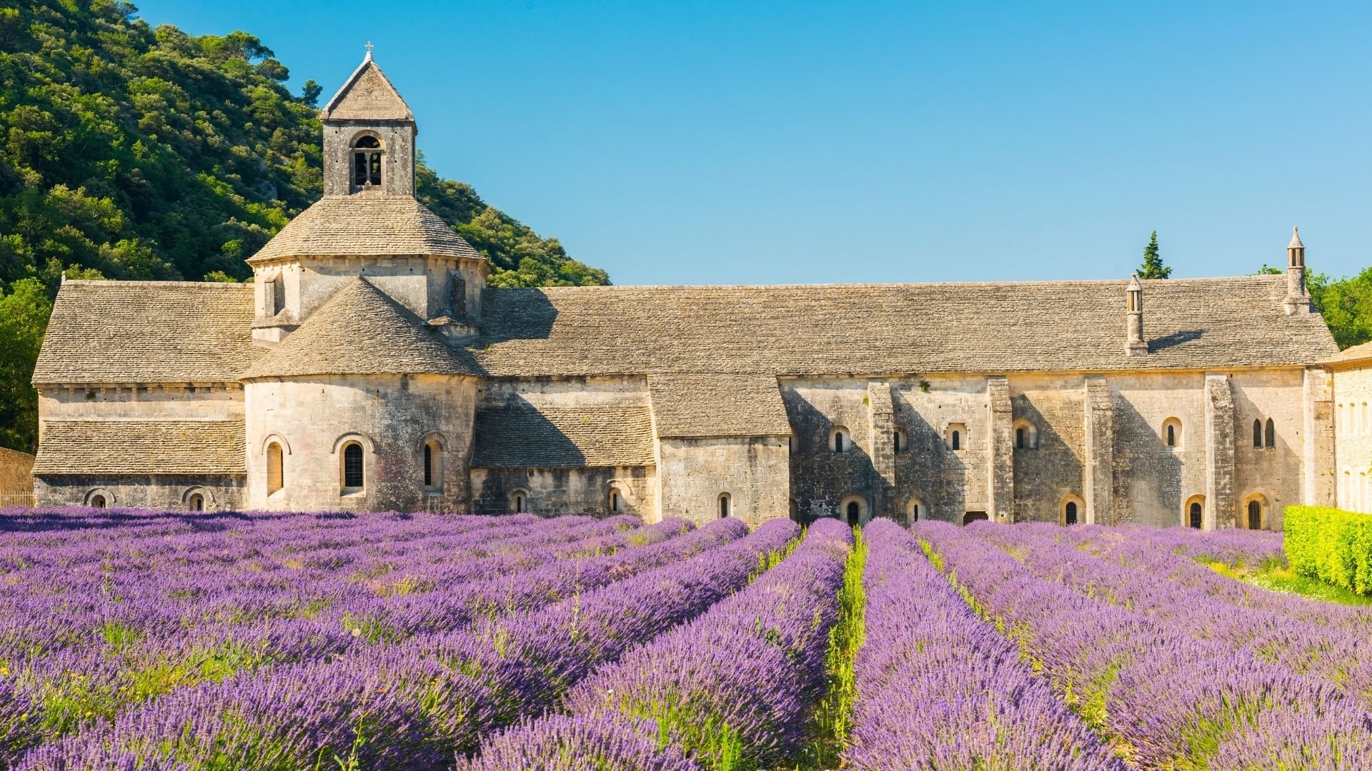Tour Camargue Provenza e Costa Azzurra con Pullman da Milano