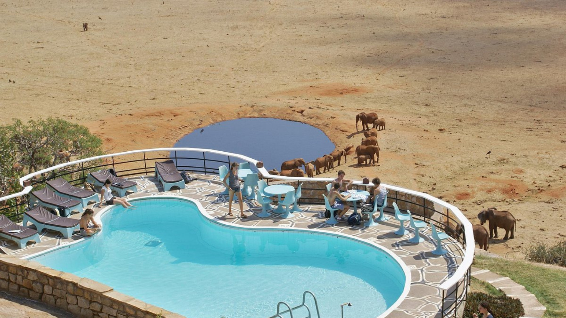 Safari Tsavo Est / Ovest + Mare