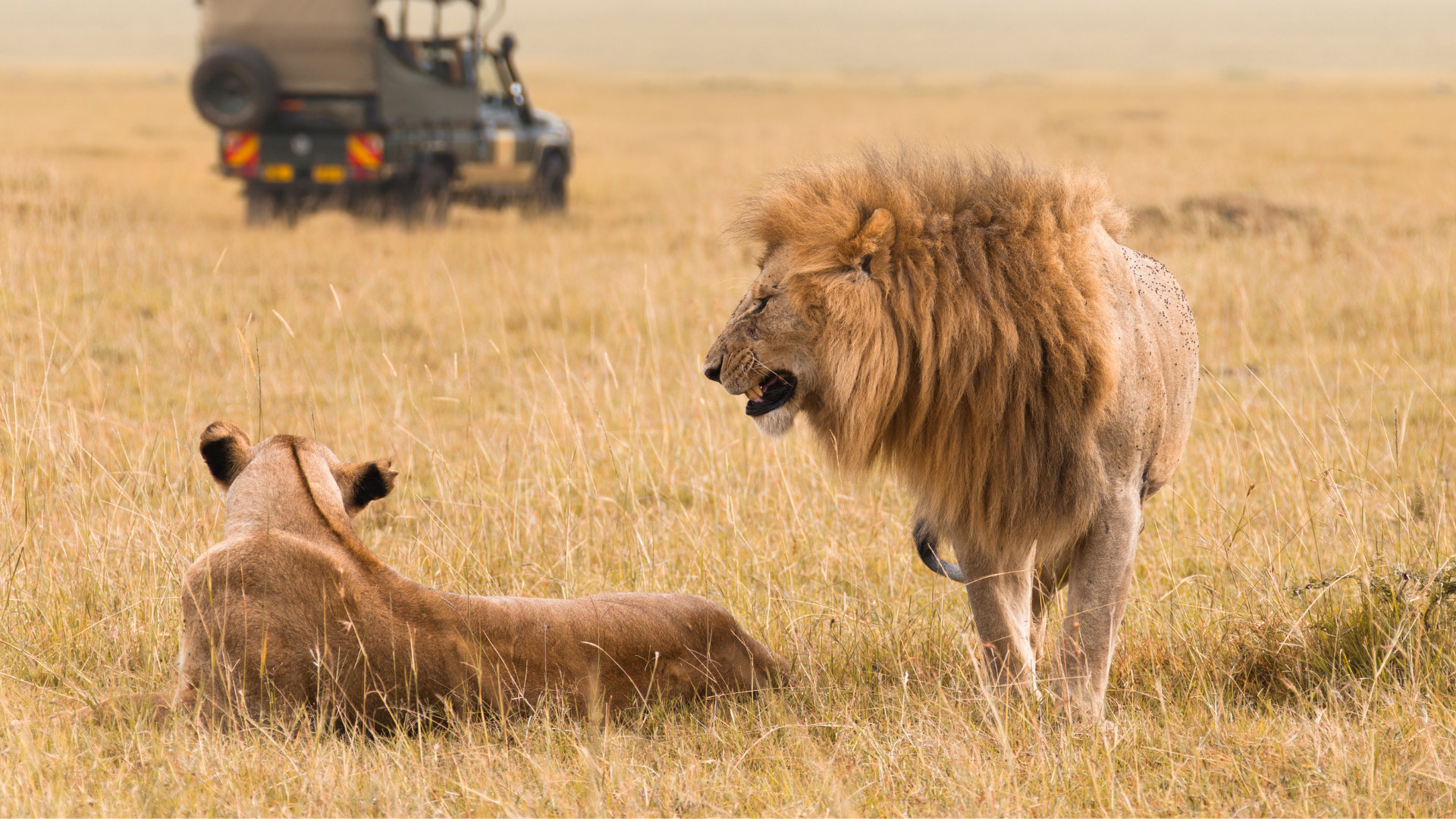 Safari Tsavo Est / Ovest + Mare