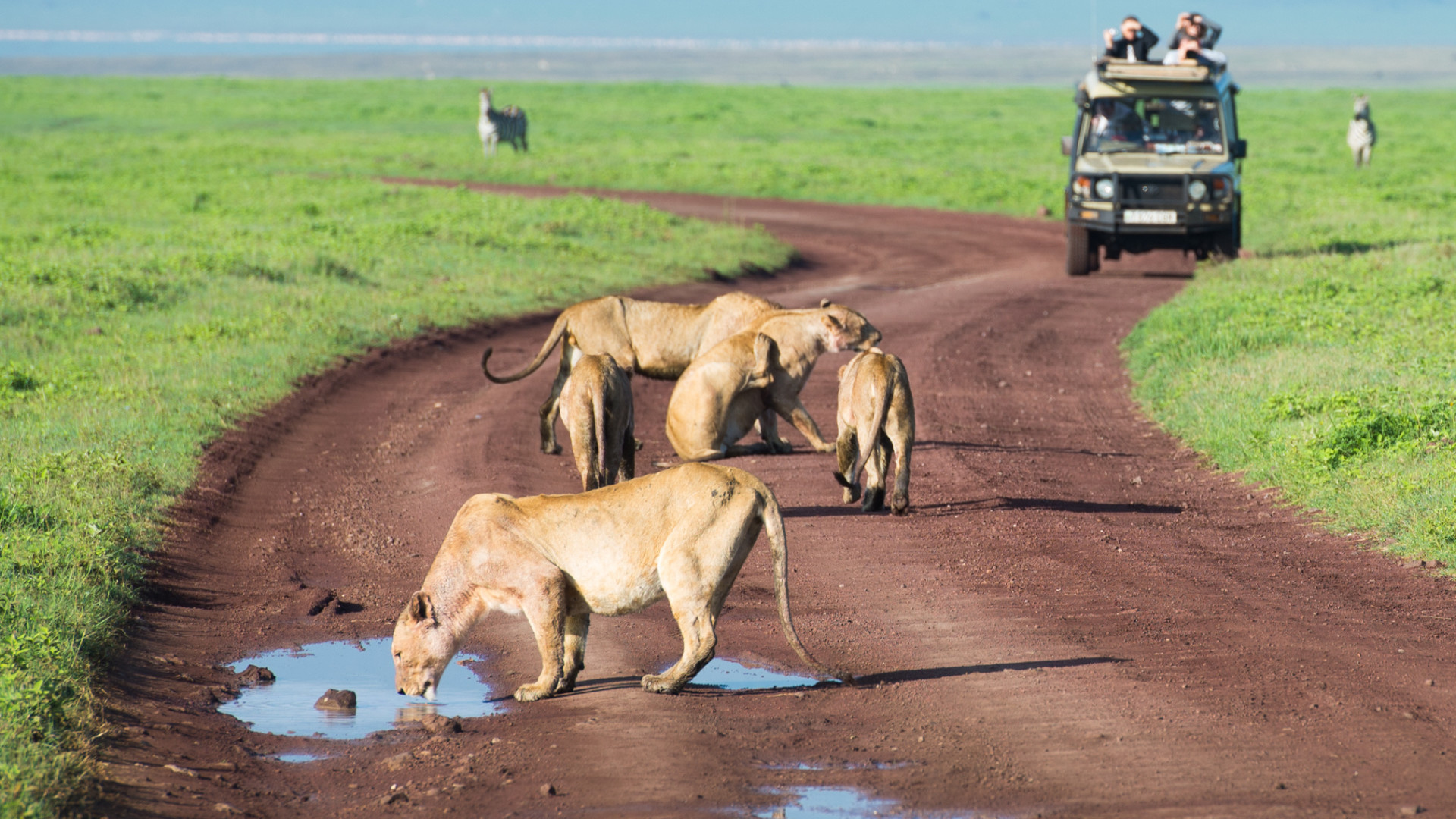 Safari Tsavo Est / Ovest + Mare